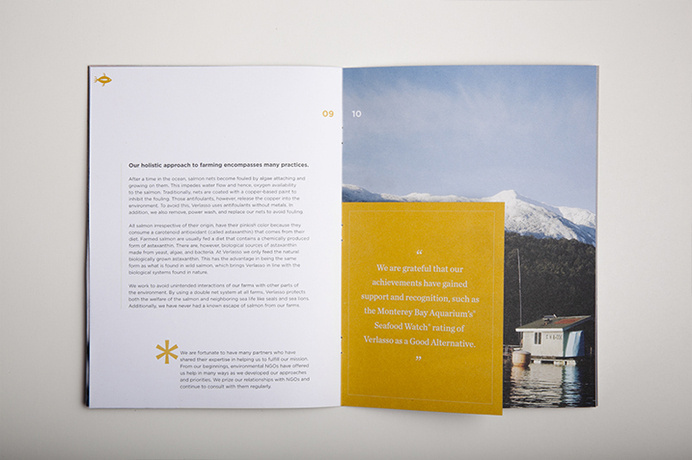 verlassoVerlasso Sustainability Brochure #print #grid #spread #type #layout #brochure