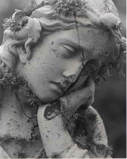 Russian Carpet: Daily inspiration, trends, mood board. Architecture, art, design, fashion, photography. #inspiration #swear #board #romantic #photography #architecture #mood #wedding