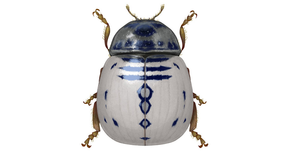 Star Wars-Inspired Insects by Illustrator Richard Wilkinson