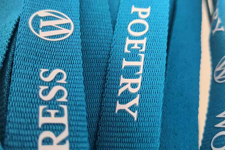 Predicting the Next Opportunities for WordPress Innovation