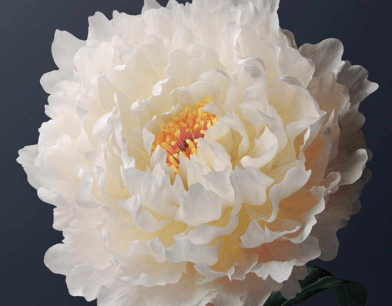 Kinetic Wallpaper - Vivo OriginOS