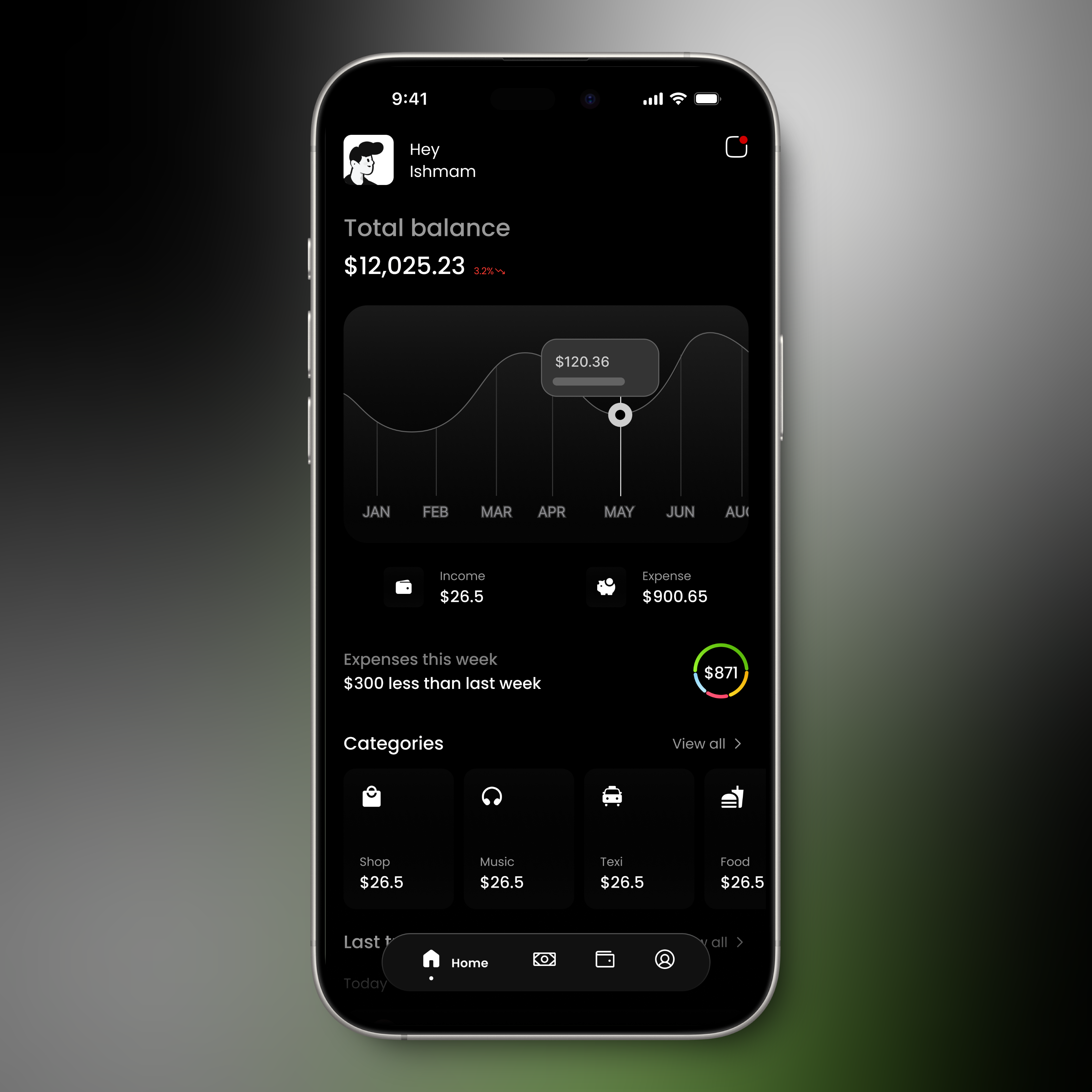 Money Tracker Home Page