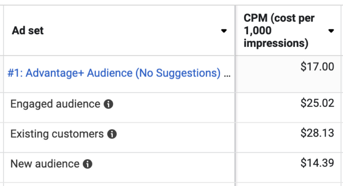 Audience Segments