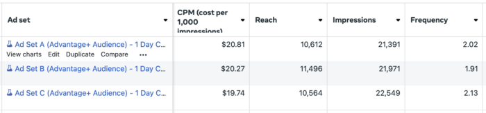 Ads Manager Results
