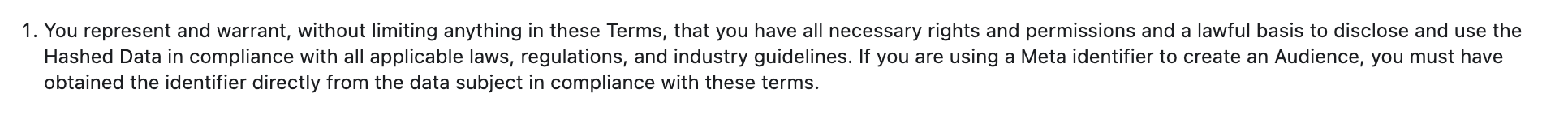 Custom Audience Terms