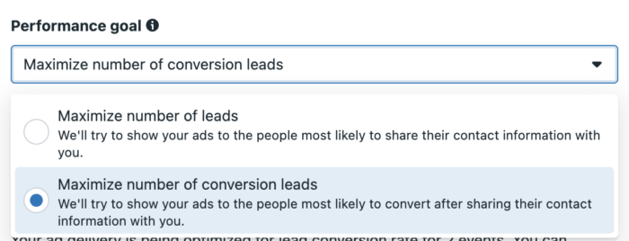 Maximize Conversion Leads