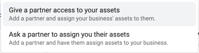 Business Portfolio Partner
